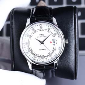 IWC Business Watches(8 Style)-1042